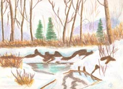 Winter relections in color pencils
